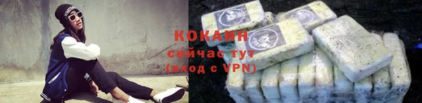 гашик Вязьма