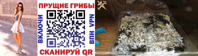 Галлюциногенные грибы Cubensis  как найти   Макарьев 